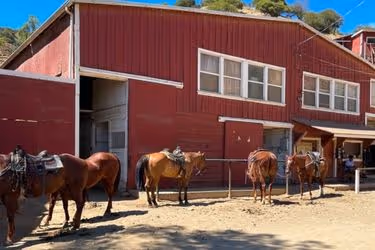 Sunset Hollywood Ranch