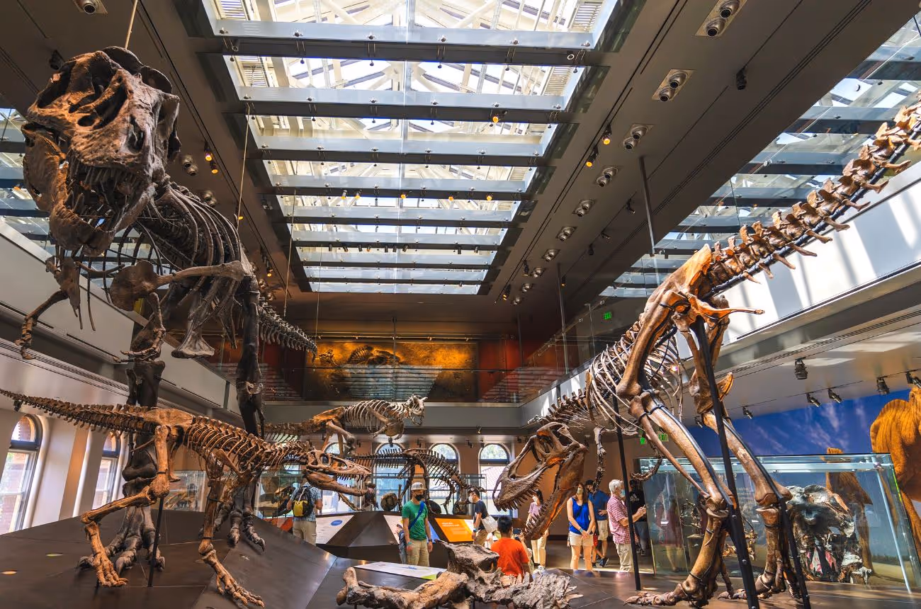 Inside the Natural History Museum of Los Angeles County 