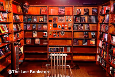 The Last Bookstore