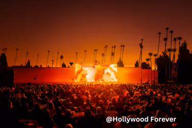 Movie screening at Hollywood Forever Cemetery