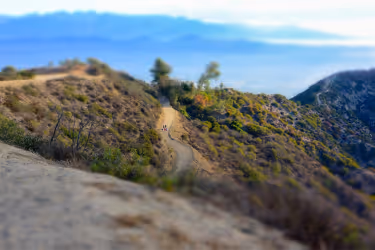 Hiking trail towards the Hollywood Sign