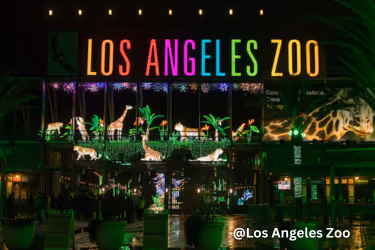 LA Zoo at night