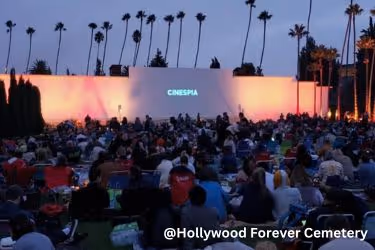 Hollywood Forever Cemetery Movie Screenings