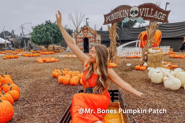 Mr. Bones Pumpkin Patch