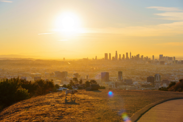 Runyon Canyon Park - View of Downtown Los Angeles