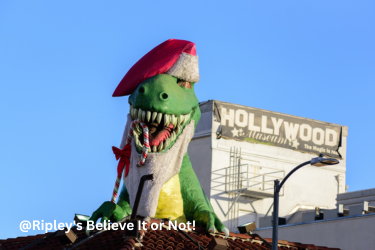 Dinosaur at the top of Ripley's Building
