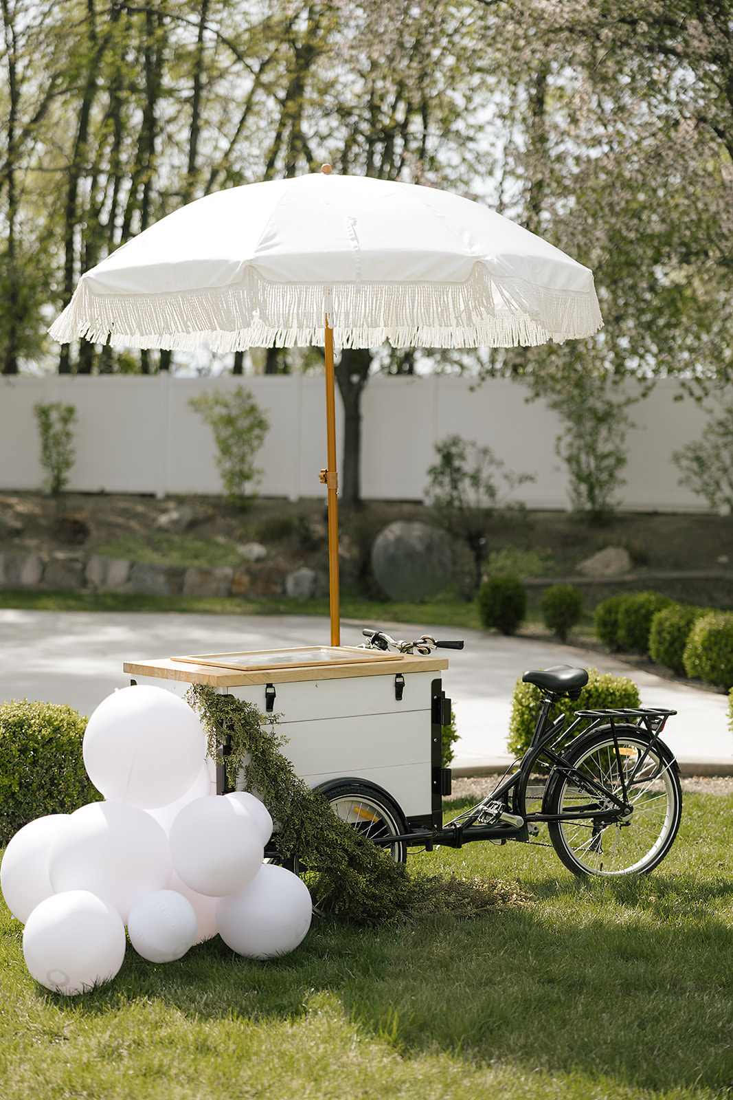 Black and white vintage dessert trike rental Utah