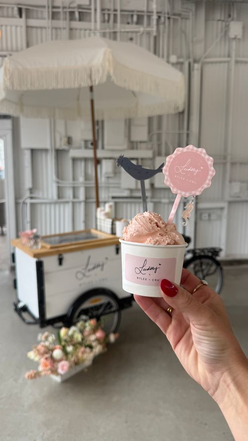 Person holding ice cream in front of styled Sweet Treats Trike for influencer event in Utah