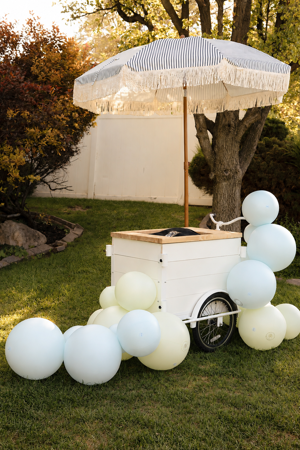 All white vintage dessert trike rental Utah