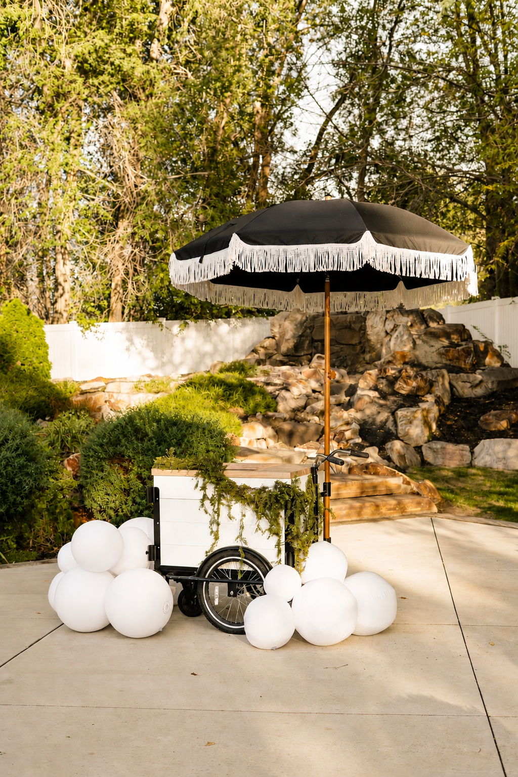 Black and white vintage dessert trike rental Utah