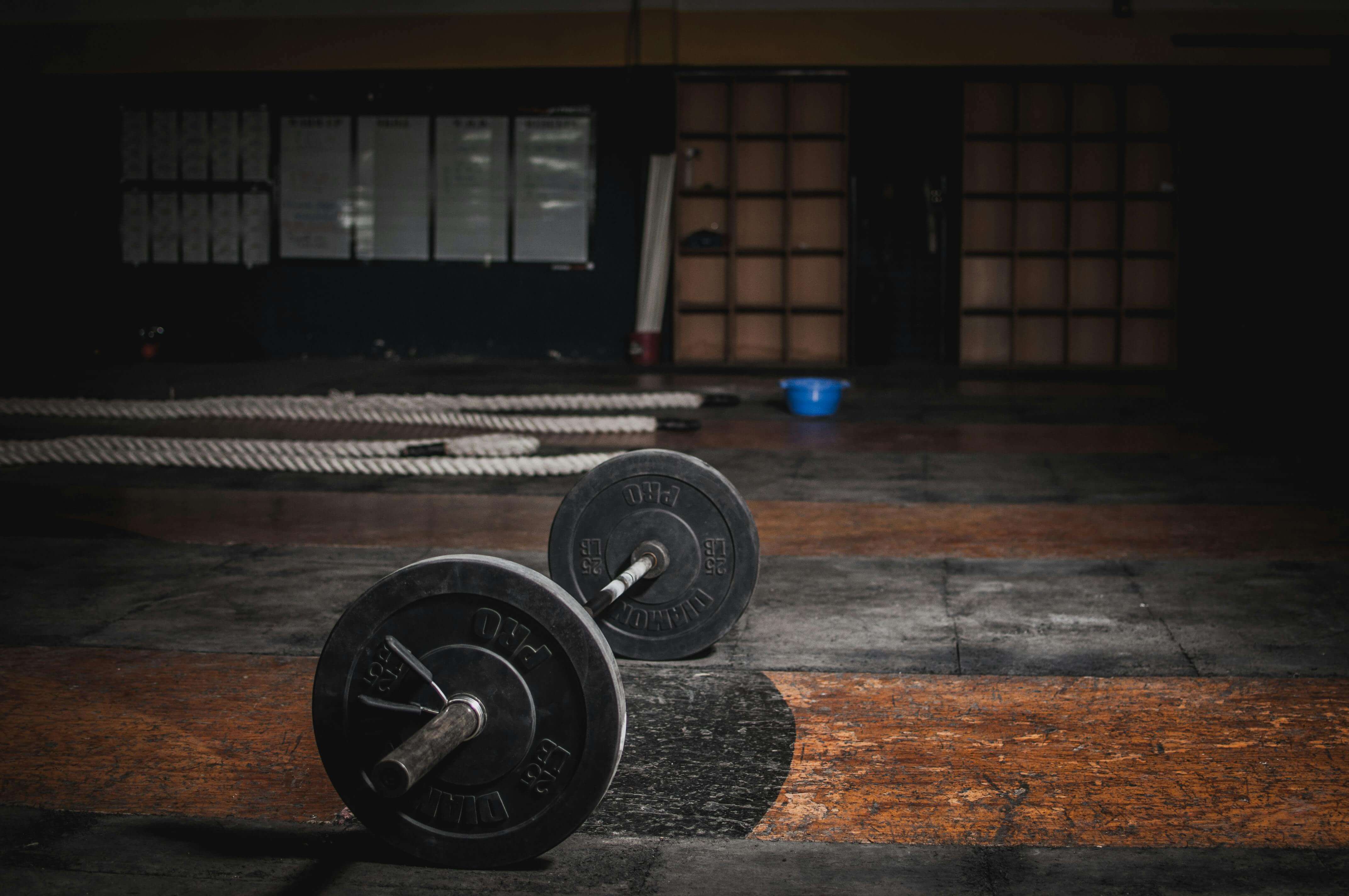 The $6MM Difference: Turning Data into Dollars for Fitness Marketing Success