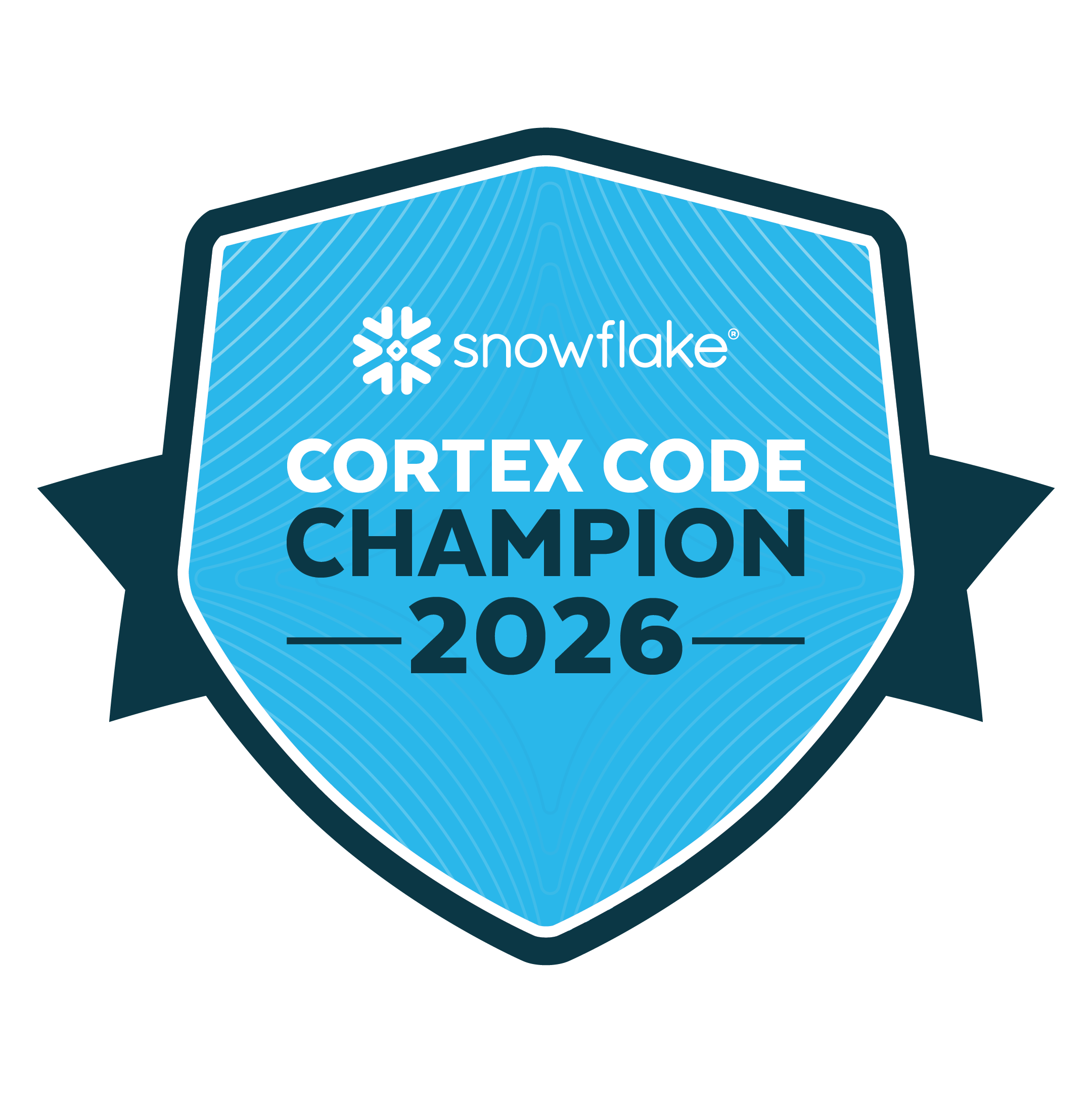 Snowflake 10