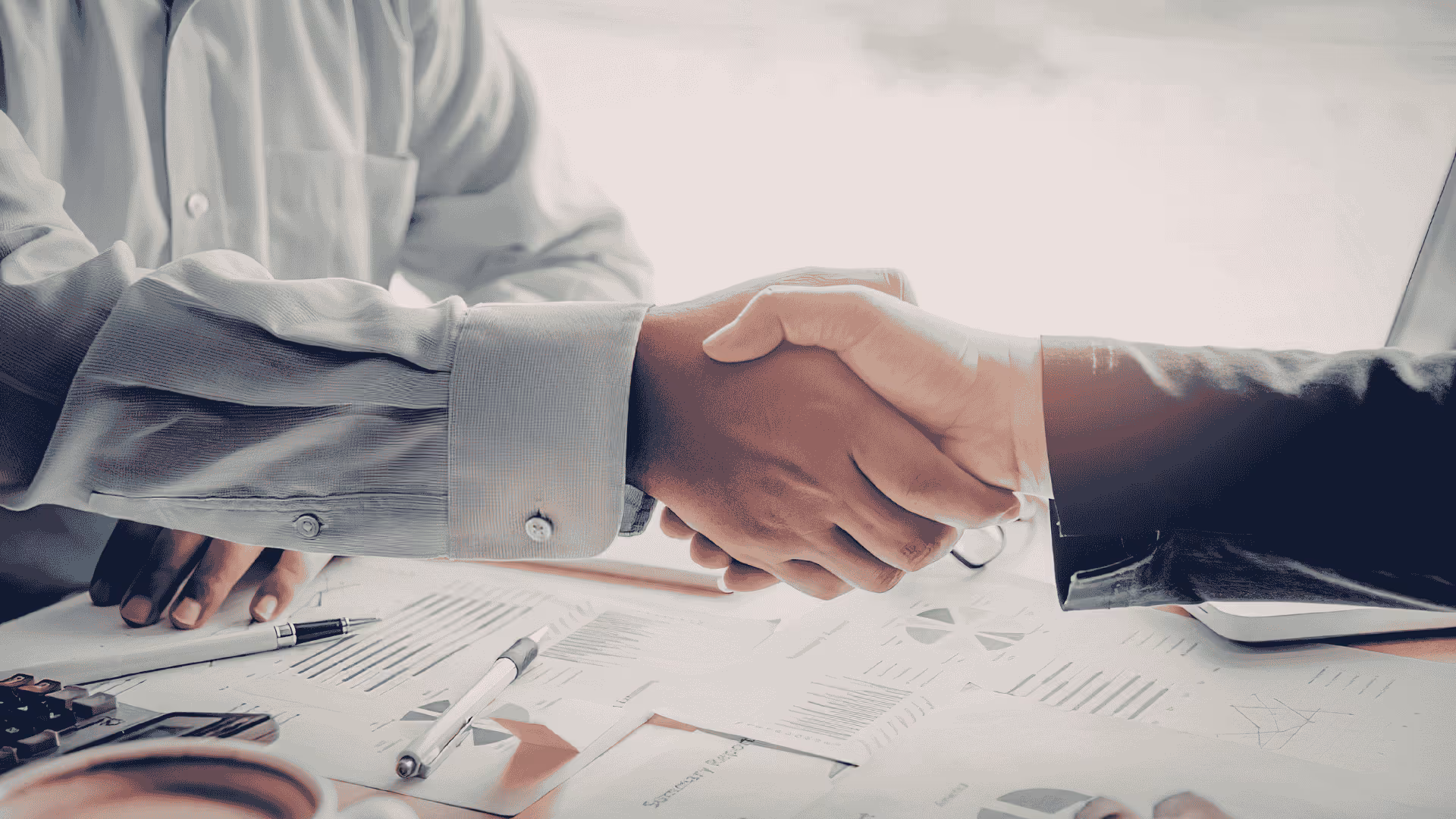 We are looking for a Chief Commercial Officer