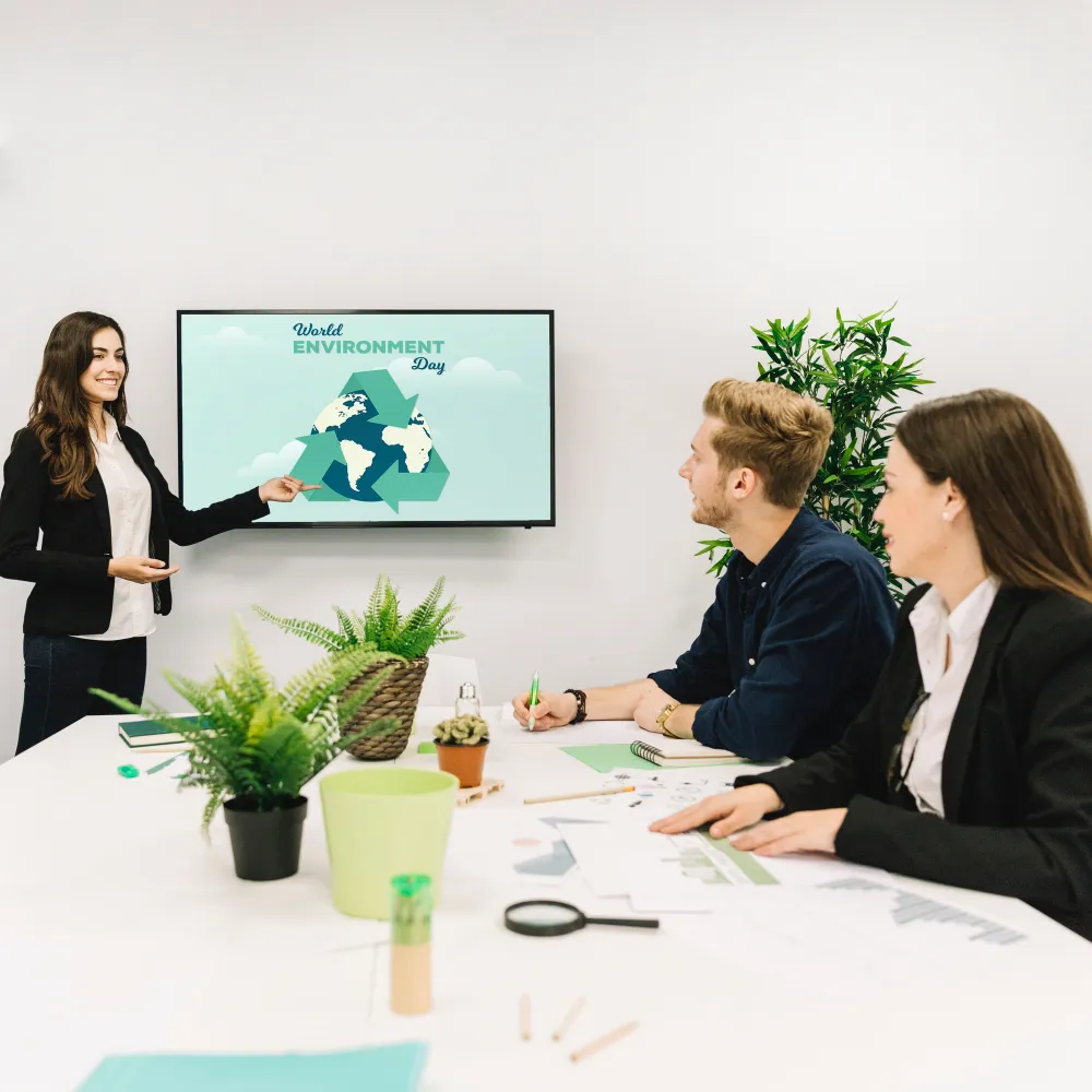 Präsentation, Frau, Besprechung