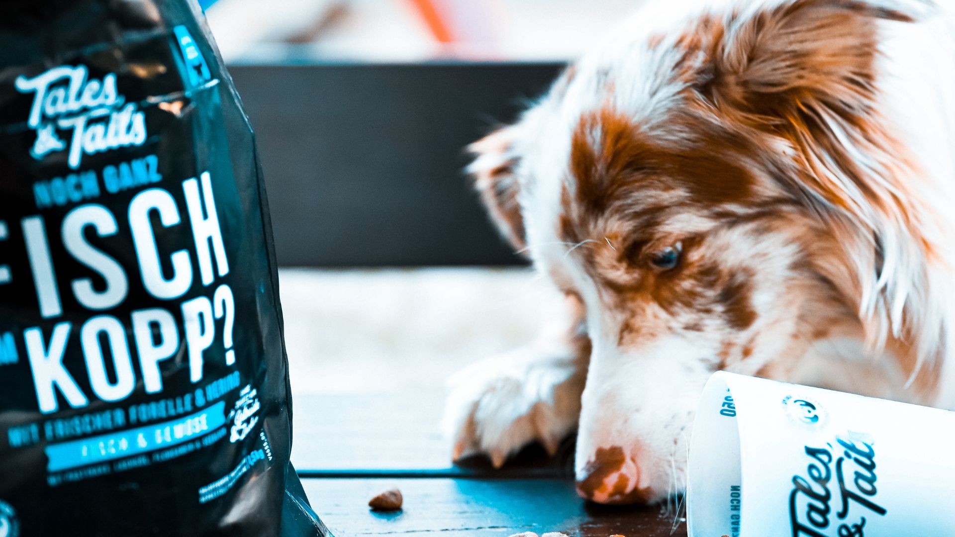 Hundefutter im Test, die Qualität überzeugt, für Hundebesitzer gehe jetzt zum Testbericht. Tales&Tails beste Qualität und hat den Futtertest bestanden