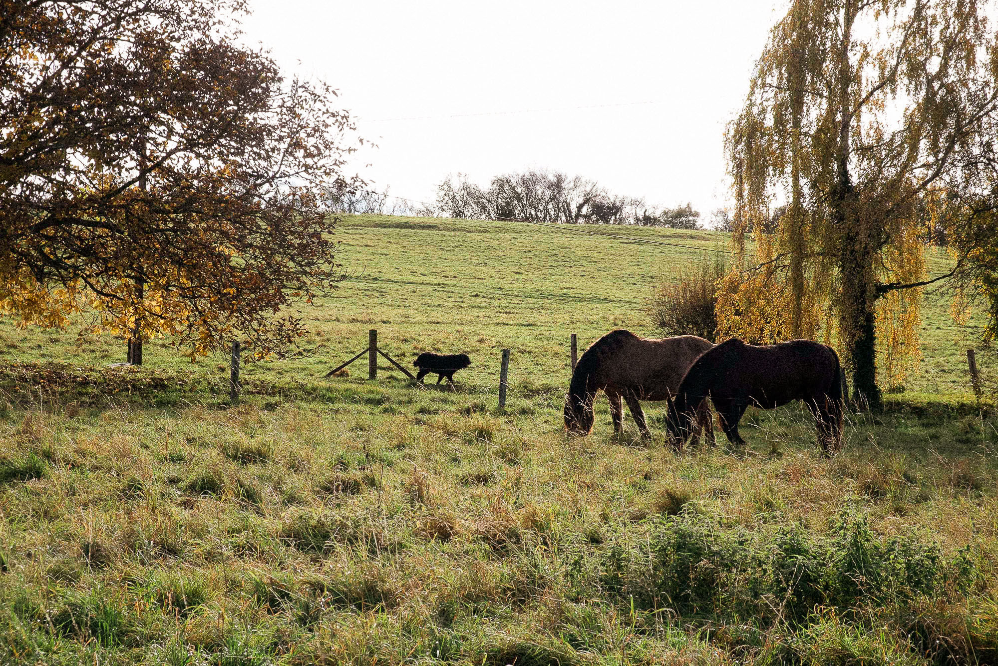 Location section cover