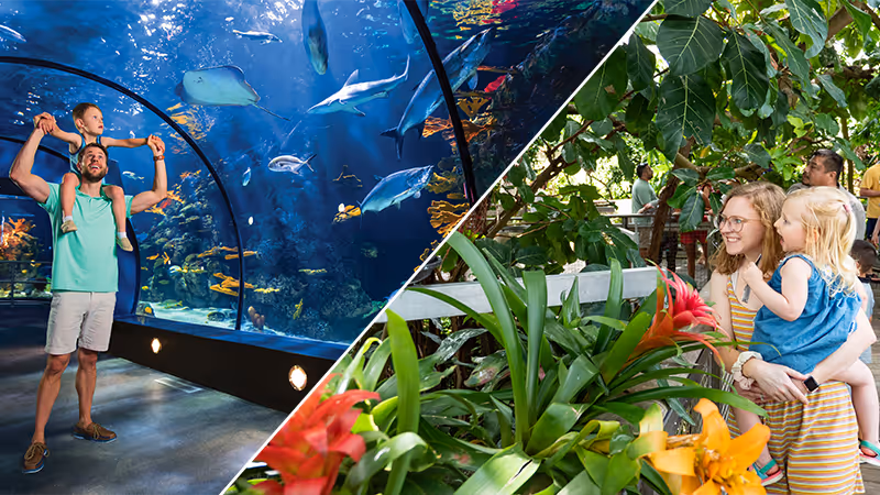The image shows a large aquarium filled with various marine life, with a person standing in front of it, and a separate scene depicting a group of people in a lush, tropical garden setting Moody Gardens Galveston Texas