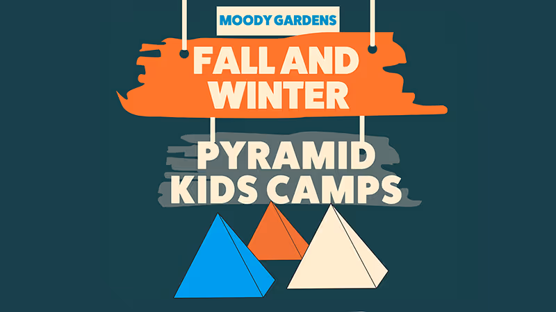 Fall and Winter Pyramid Kids Camps at Moody Gardens in Galveston, Texas