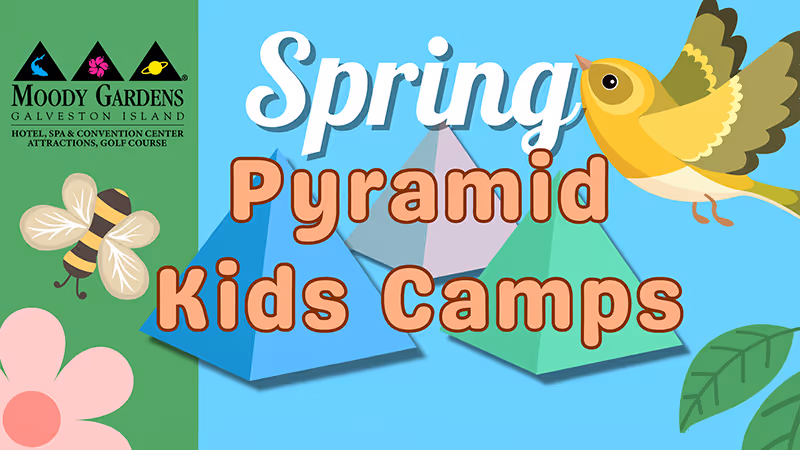 Spring Pyramid Kids Camps at Moody Gardens in Galveston, Texas