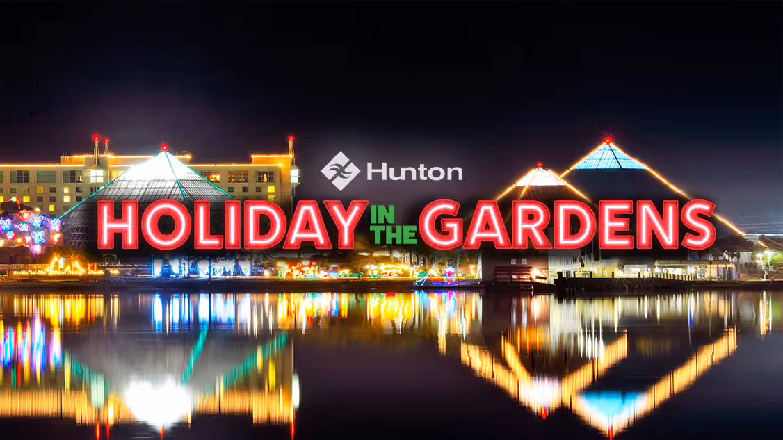 Holiday in the Gardens Christmas lights up the shores near the Colonel Paddlewheel boat. Each Pyramid is illuminated by a trail of lights than run along the edge of each Pyramid edge.