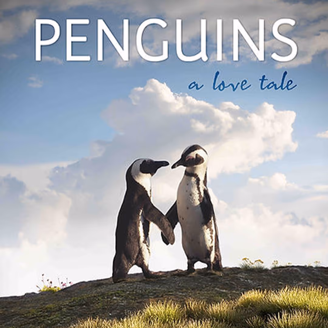 Two penguins standing on a grassy hill under a cloudy sky with the text 'PENGUINS a love tale' above them.