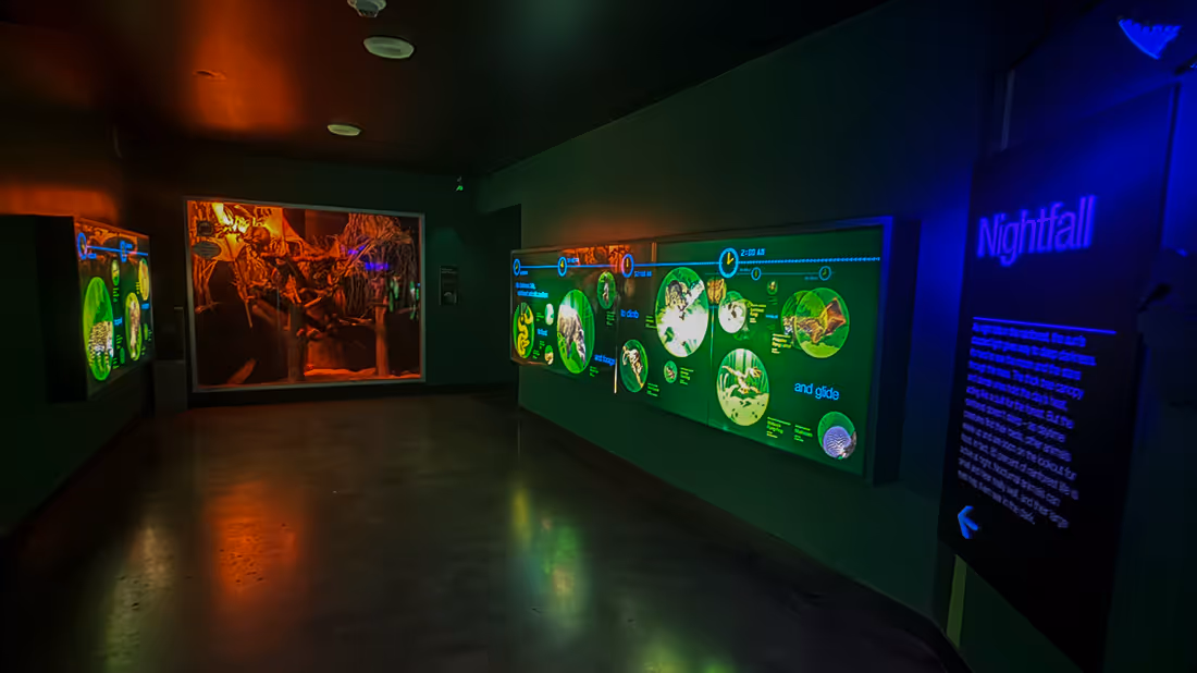 Dimly lit museum exhibit titled 'Nightfall' with illuminated informational panels and a display case featuring nocturnal rainforest animals.