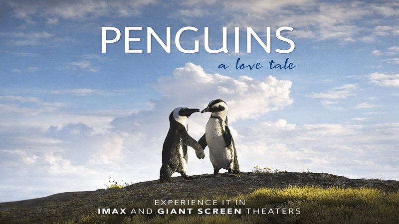 An underwater scene filled with colorful coral, eels, squid, clown fish and a group of other assorted sealife in the background and text with The Ocean As Never Seen Before, Jean-Michel Cousteau's Secret Ocean 3D.