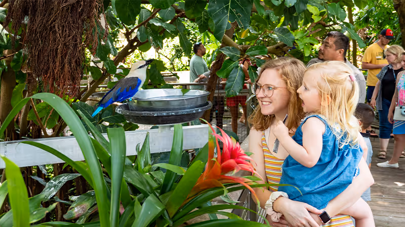 Family of three sits on a bed while the mom points to something in a book that a child is reading.