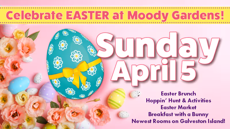 Easter celebration announcement at Moody Gardens on Sunday April 5 with Easter brunch, hunt, activities, market, breakfast with a bunny, and newest rooms on Galveston Island, decorated with flowers and colorful Easter eggs.
