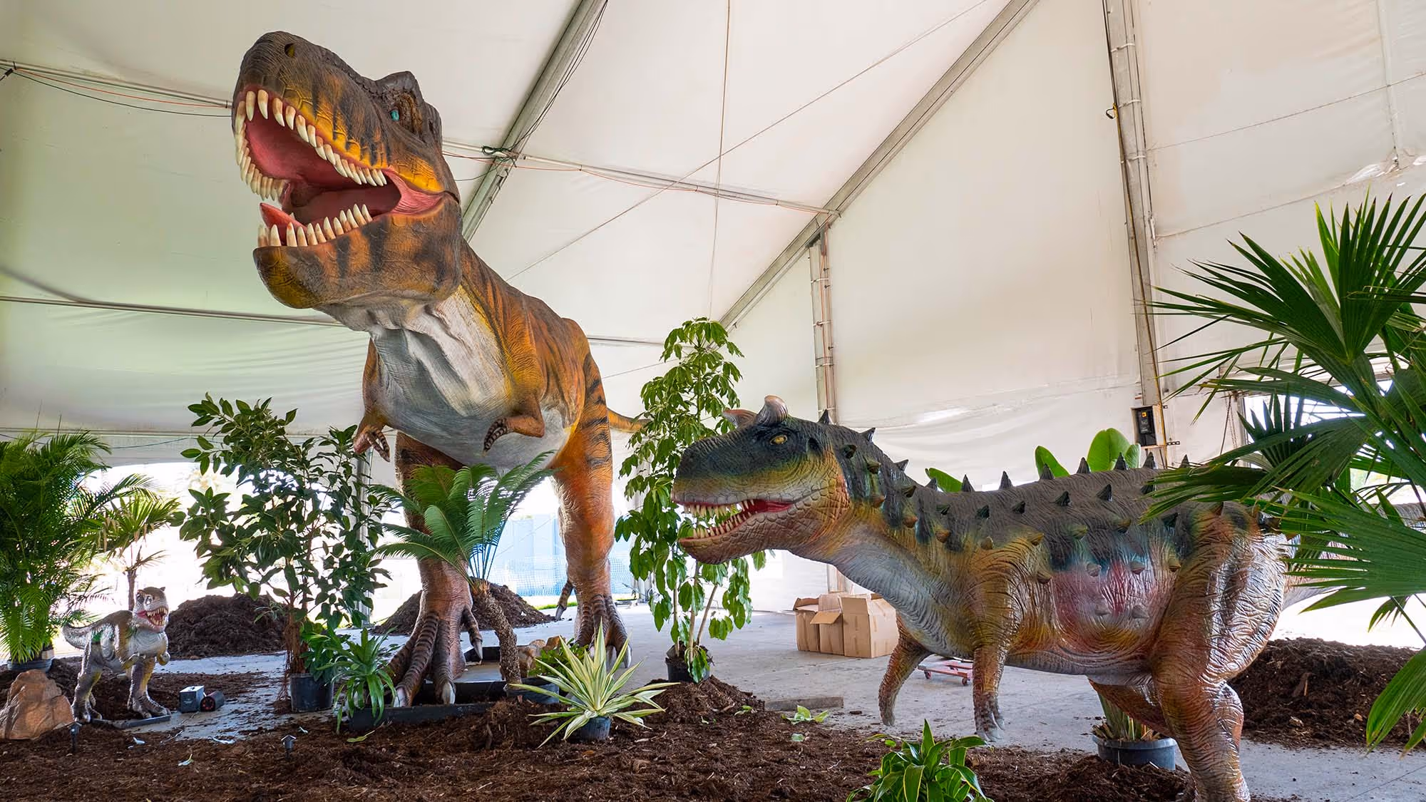 Two penguins are framed by a heart shape with the words 'So Much to Love' on the left. The outline of the image is accented with a classic vintage border. The scheme is dark red to light pink hues along with images of hearts.