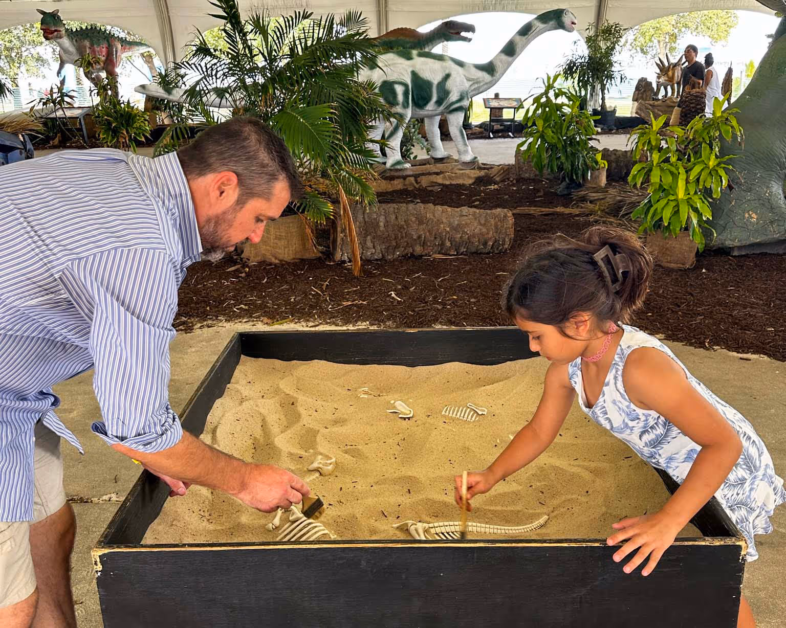 An underwater scene filled with colorful coral, eels, squid, clown fish and a group of other assorted sealife in the background and text with The Ocean As Never Seen Before, Jean-Michel Cousteau's Secret Ocean 3D.