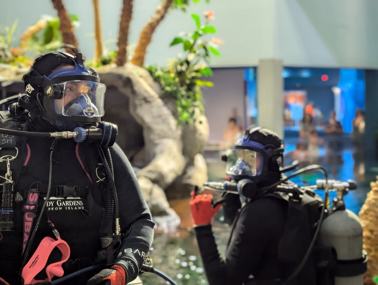 Moody Gardens divers at work inside the Aquarium Pyramid