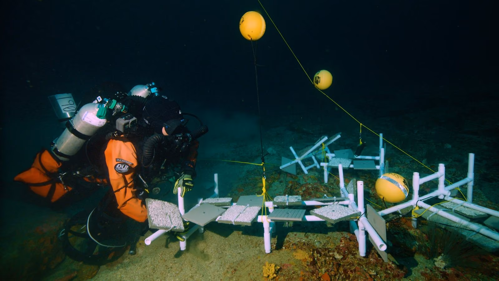Divers installing reef restoration structures in the Gulf of Mexico