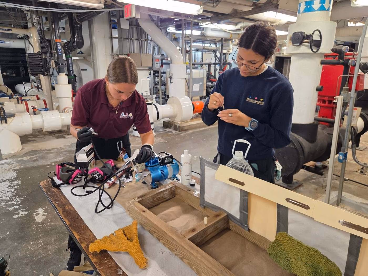 Two interns setting up coral enhancement work at a workbench