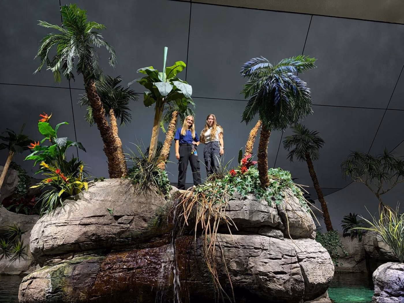 Two interns tending a dive from beside the South Pacific exhibit waterfall