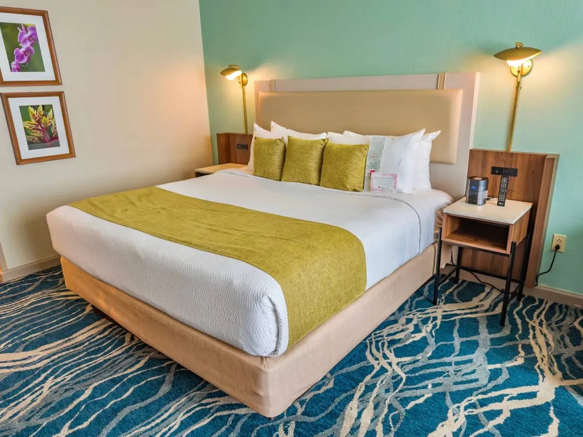 One King Bedroom + Sleeper Sofa at Moody Gardens Hotel, photo 2