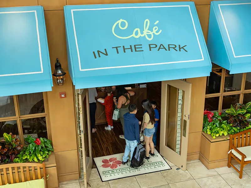 A server at Café in the Park brings a guest her order