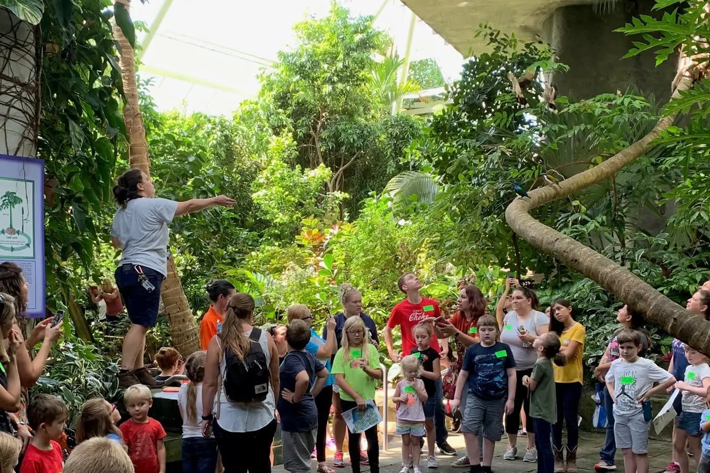 A group follows a guide past scarlet ibis inside the Rainforest Pyramid