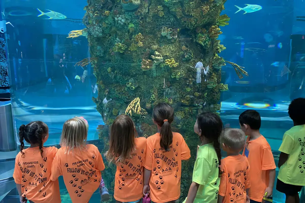 Kids in matching camp shirts look into the coral reef tank in the Aquarium Pyramid