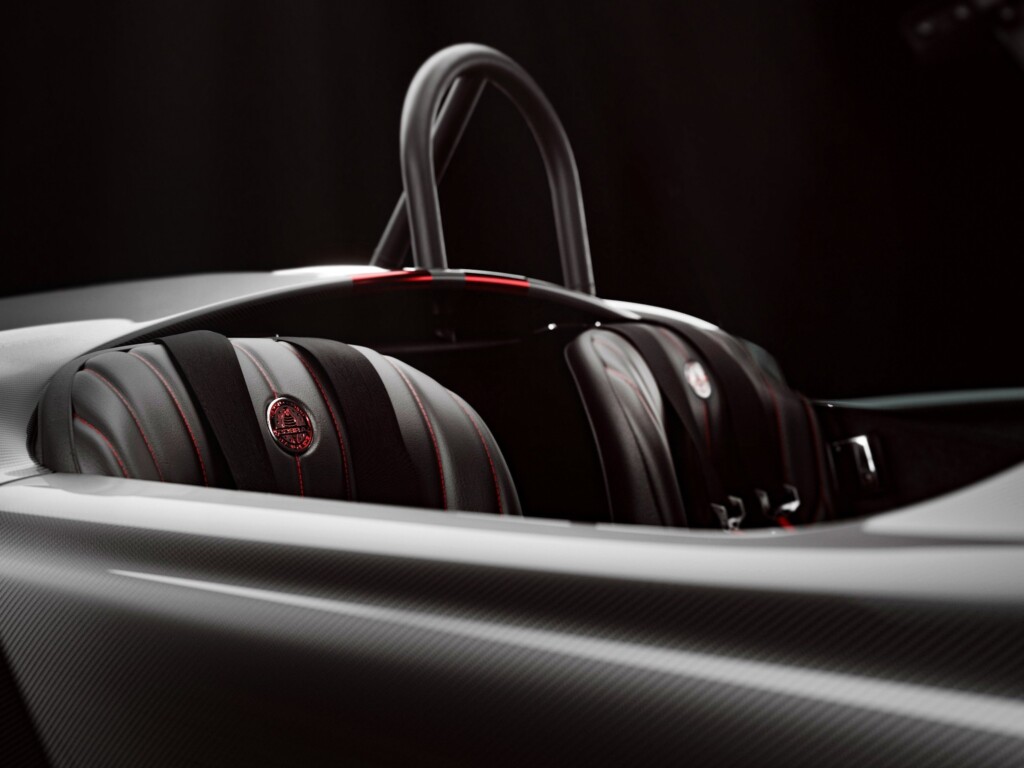 carbon fiber shelby cobra seating
