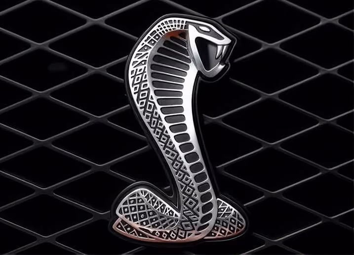 Shelby  Authenticity