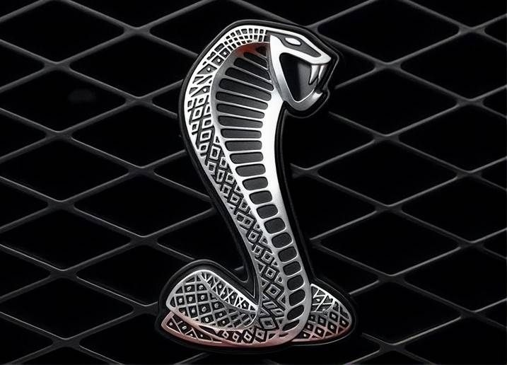 Shelby  Authenticity