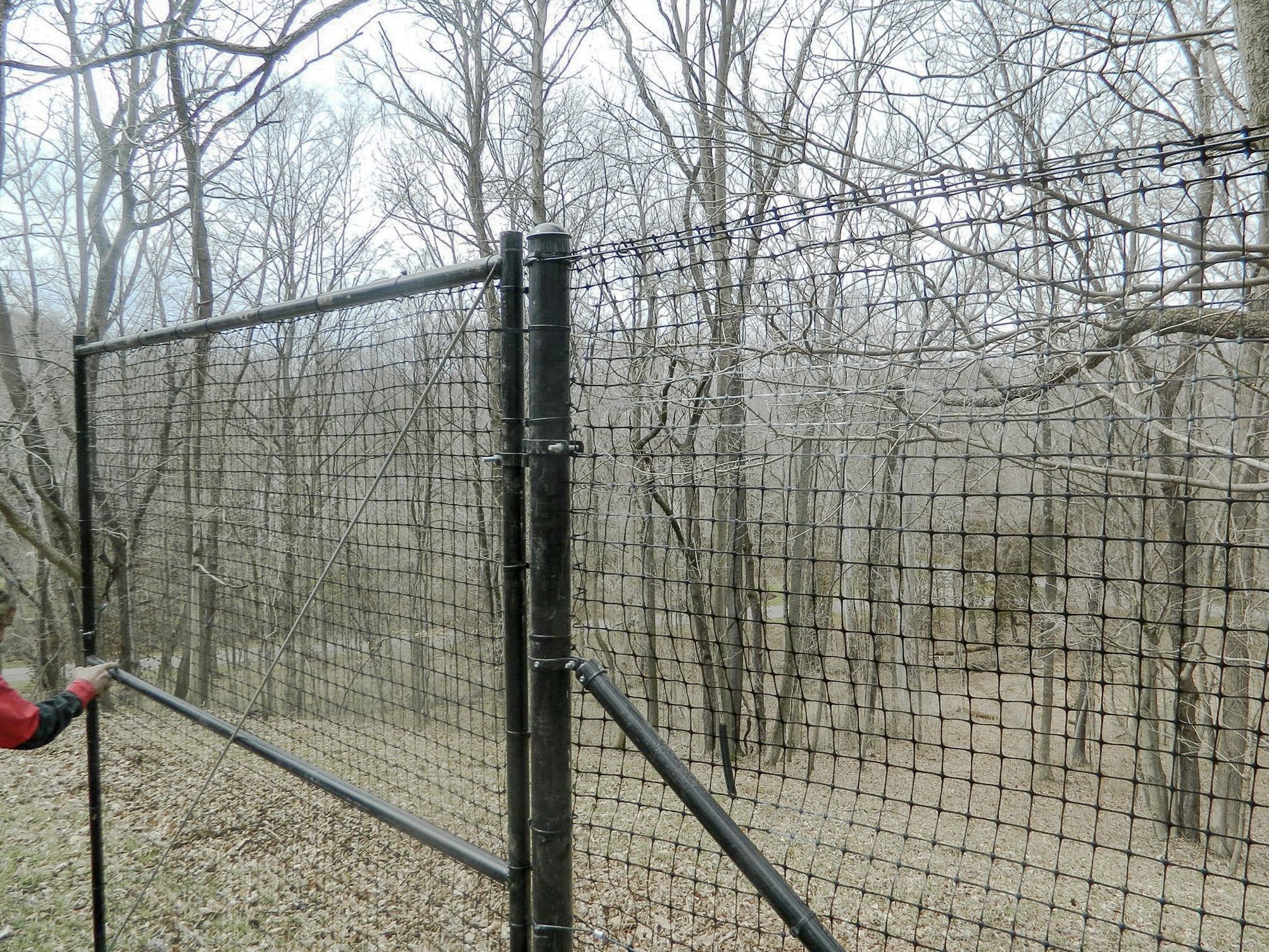 Framed mesh gate and adjoining fence posts in a wooded area.