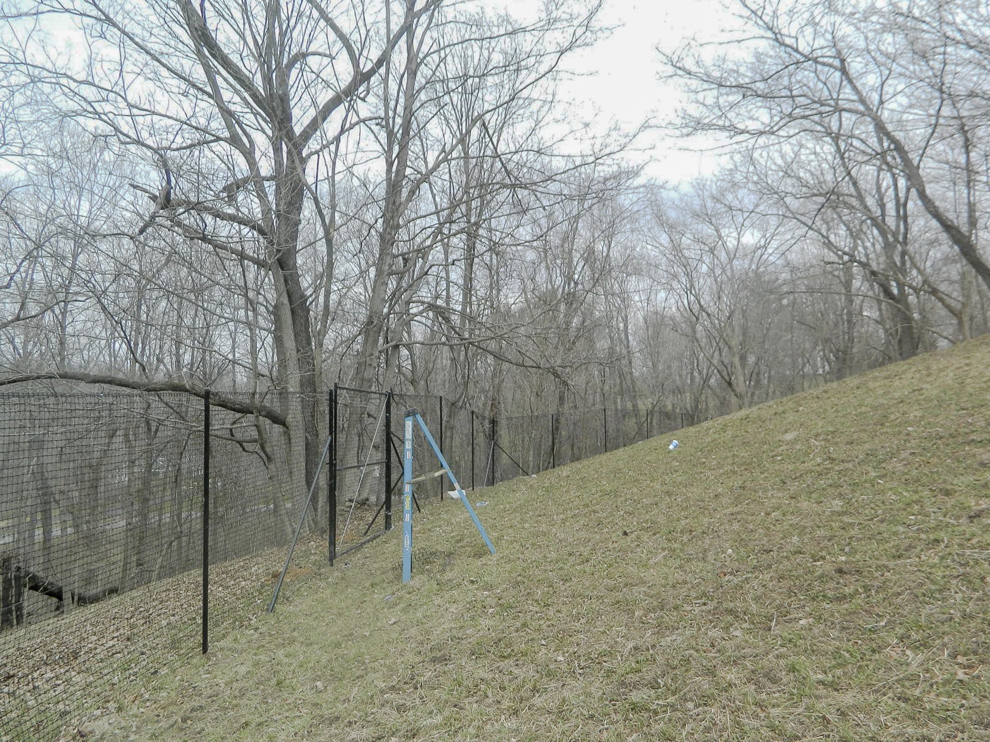 Dark mesh deer fence running beside a wooded slope in Louisville, Kentucky.