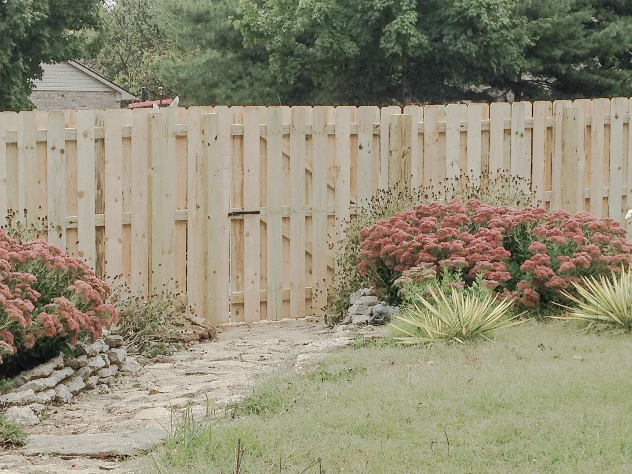 Wood gate beside flowering plants within a shadowbox fence in Lexington.