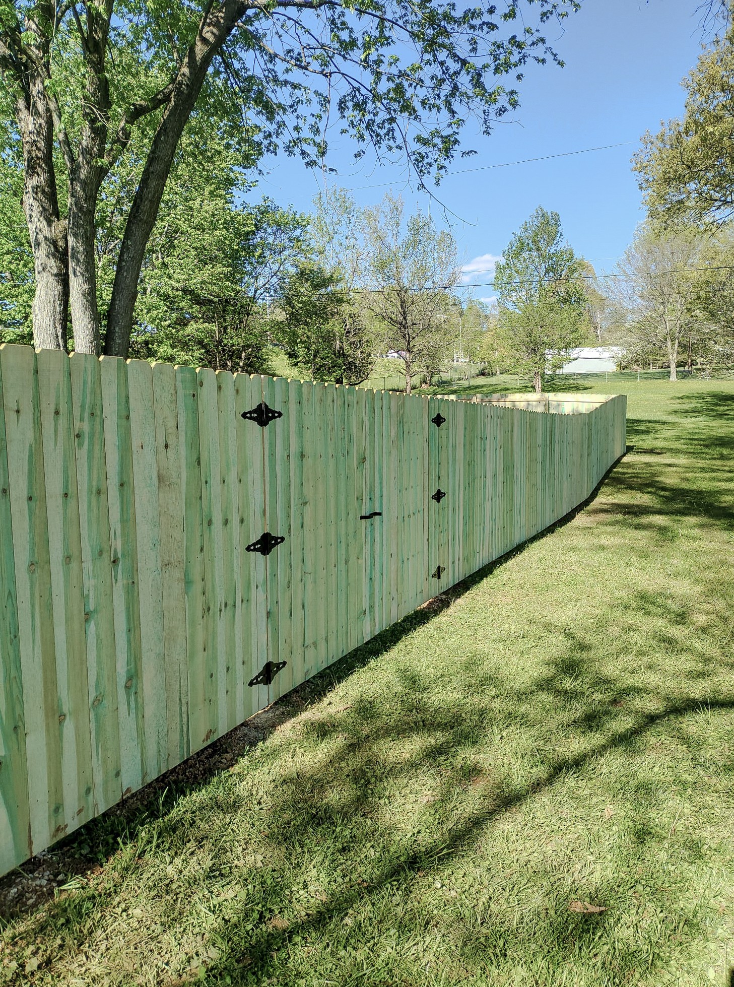 Wood privacy fence with black gate hinges along the lawn.