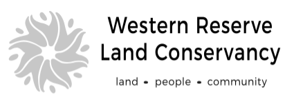 AriseHealth logo