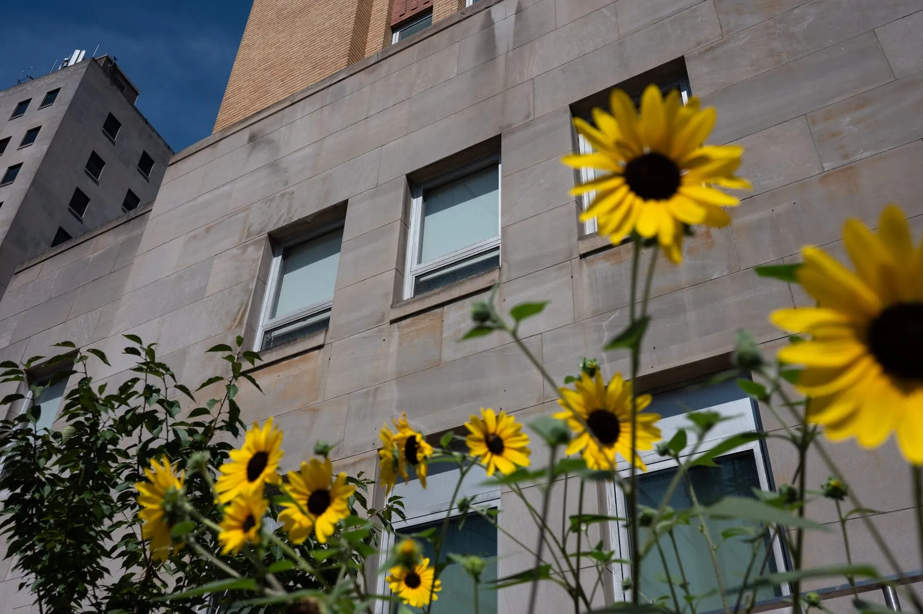 Allegheny County Department of Human Services