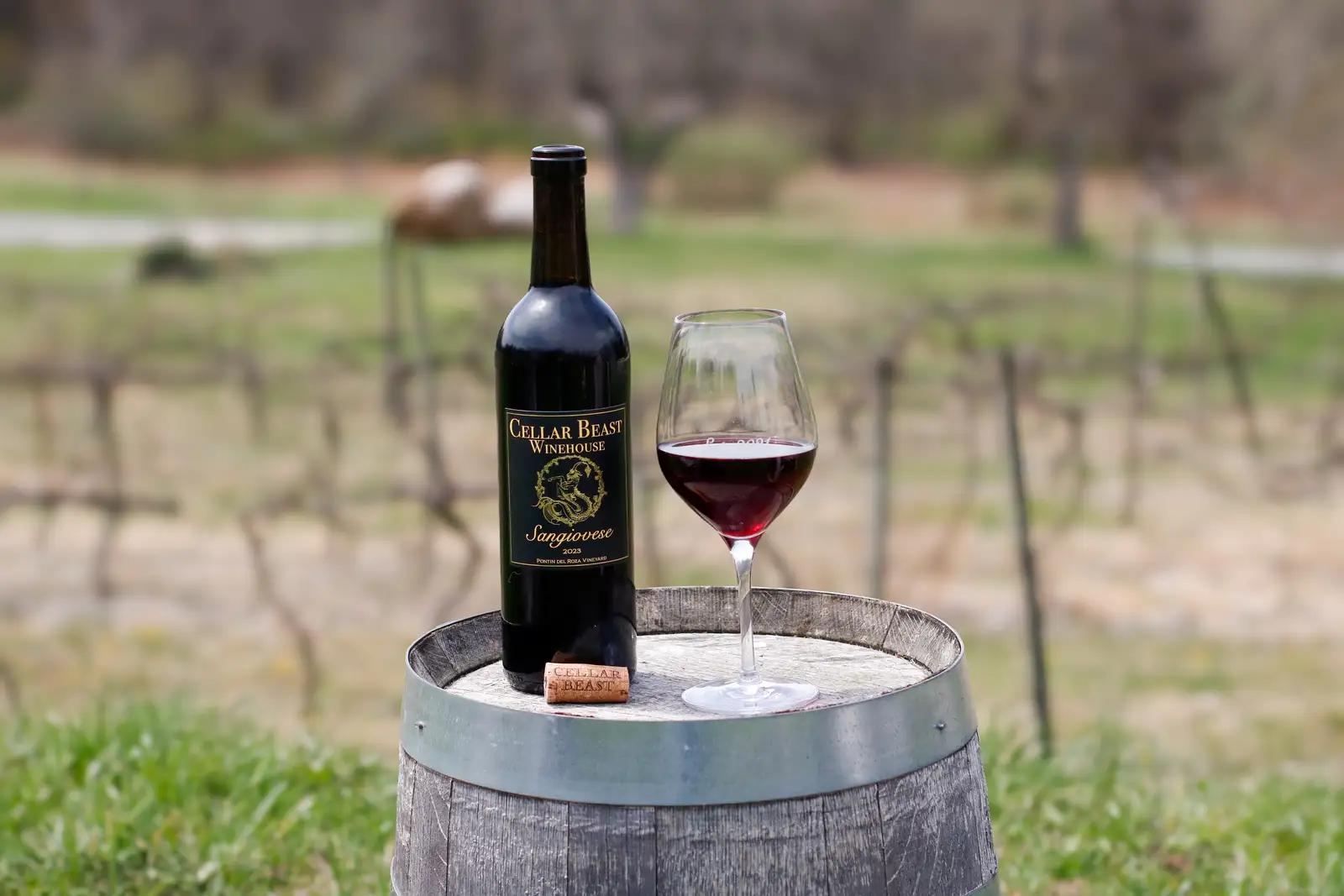 Best Sangiovese Wine: Top Picks for Authentic Italian Red Wine Lovers