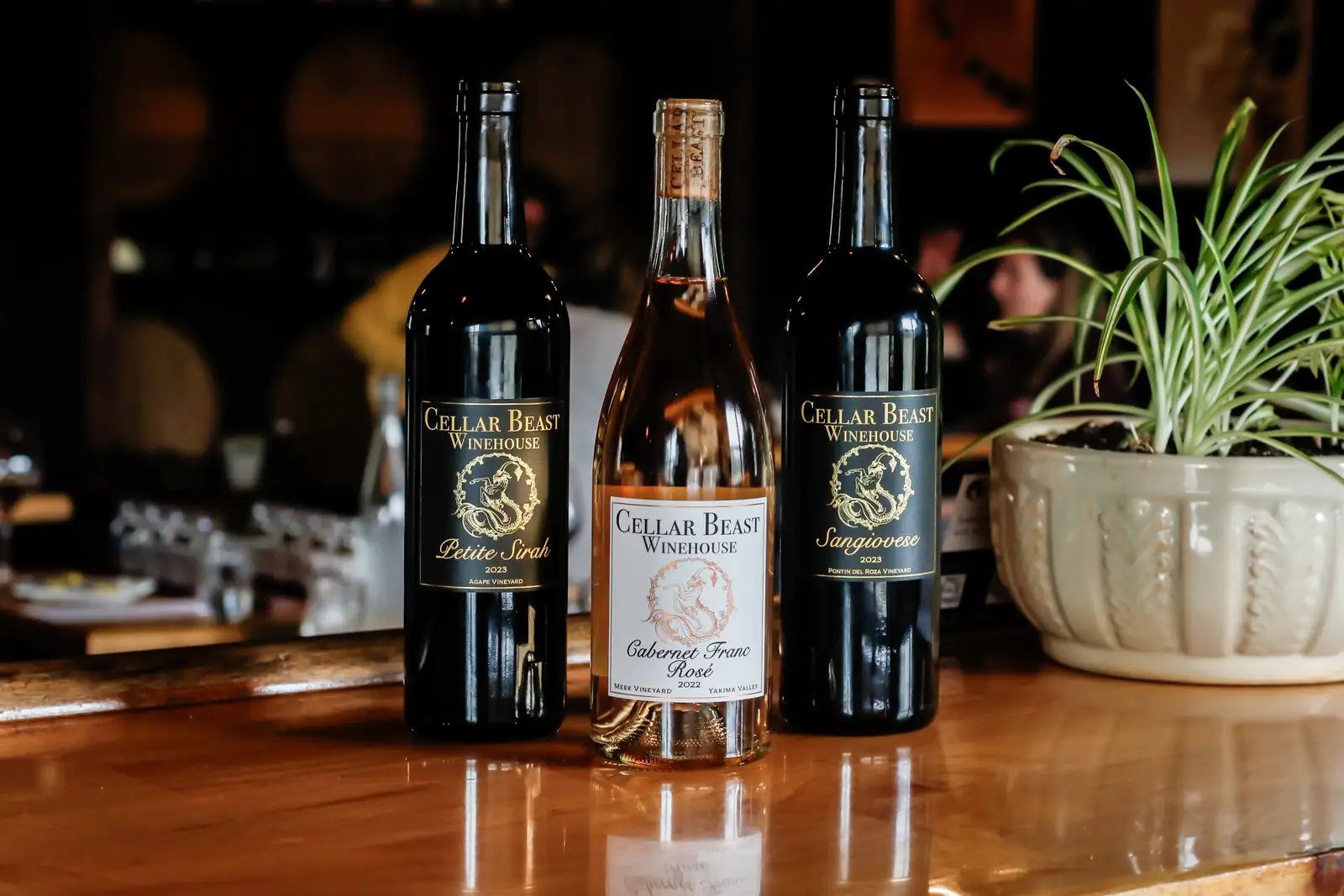 Petite Sirah — The Bold Red You Need to Know